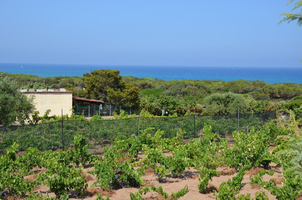 Residence Costa Del Turchese Badesi Bagian luar foto